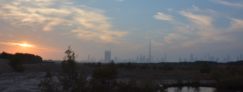 That one time I couldn’t find anywhere decent to live in Dubai…